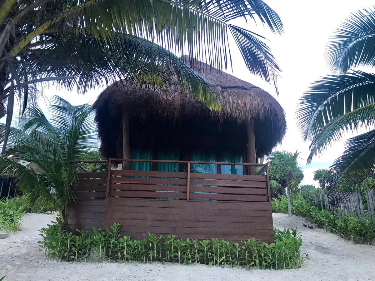 Agua Eco Design Hotel 图卢姆 外观 照片